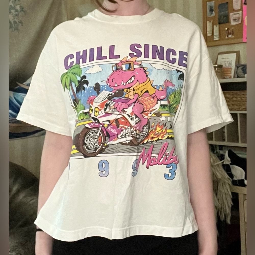 BRANDY MELVILLE chill since crop top